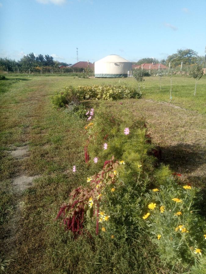 Jurtafarm Rackeve - A Nomad Luxus Hotel Exterior photo
